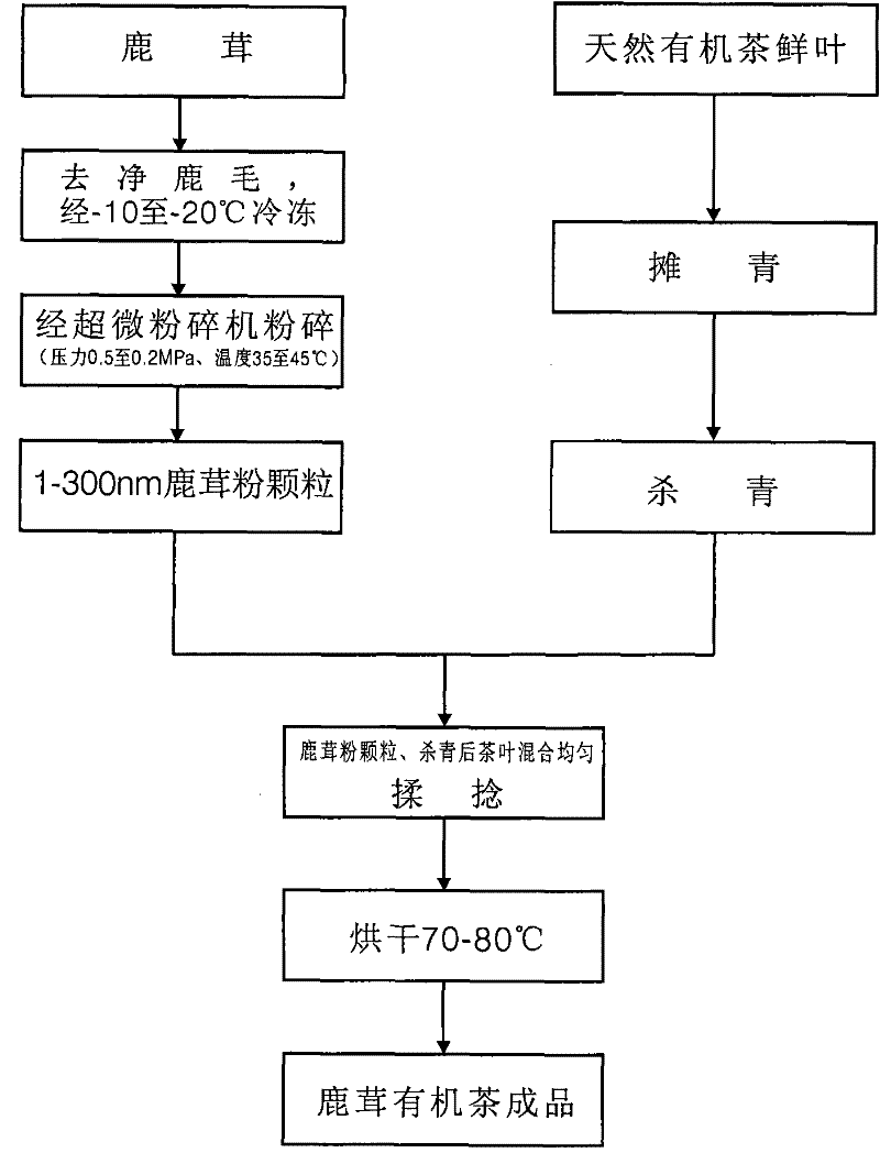 Manufacturing process for antler organic tea and preparation thereof