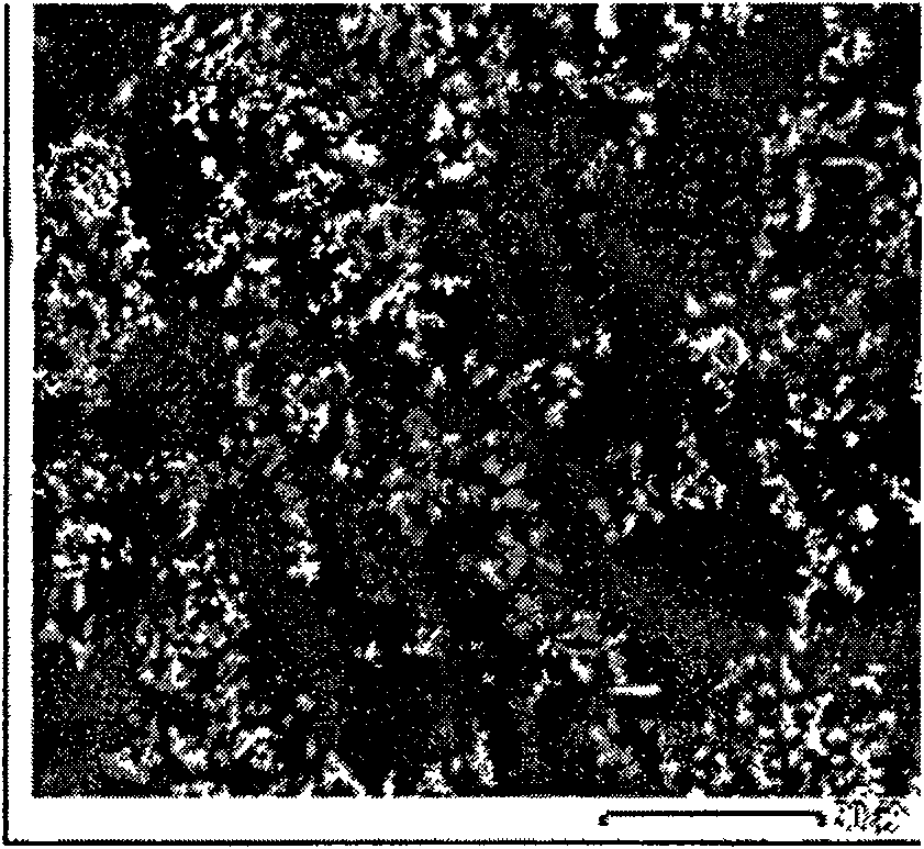 Method for directly preparing Mg-Zr alloy by MgCl2, K2ZrF6 and ZrO2 electrolysis