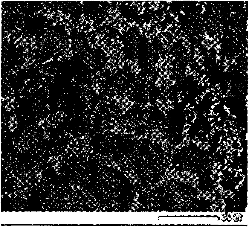 Method for directly preparing Mg-Zr alloy by MgCl2, K2ZrF6 and ZrO2 electrolysis