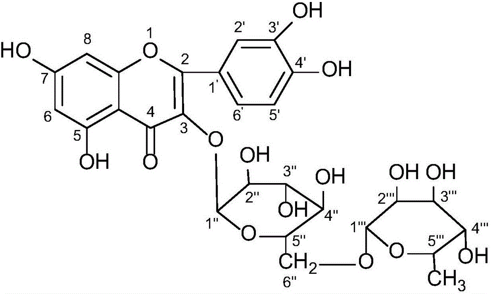 Method for extracting rutin from sophora japonica on basis of deep eutectic solvents (DESs)