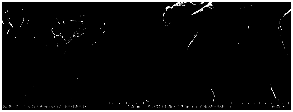 Method for preparing hexagonal flaky magnesium hydroxide for flame retardants by using large-grain-size magnesium hydroxide hydrothermal method