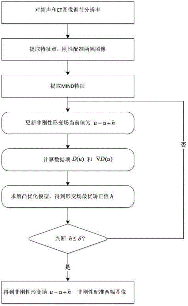 Rapid convex optimization algorithm based method for registering three-dimensional CT and ultrasonic liver images