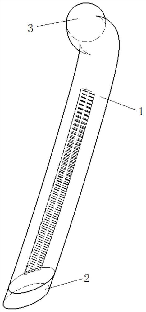 Vehicle light guide tail structure and vehicle light guide