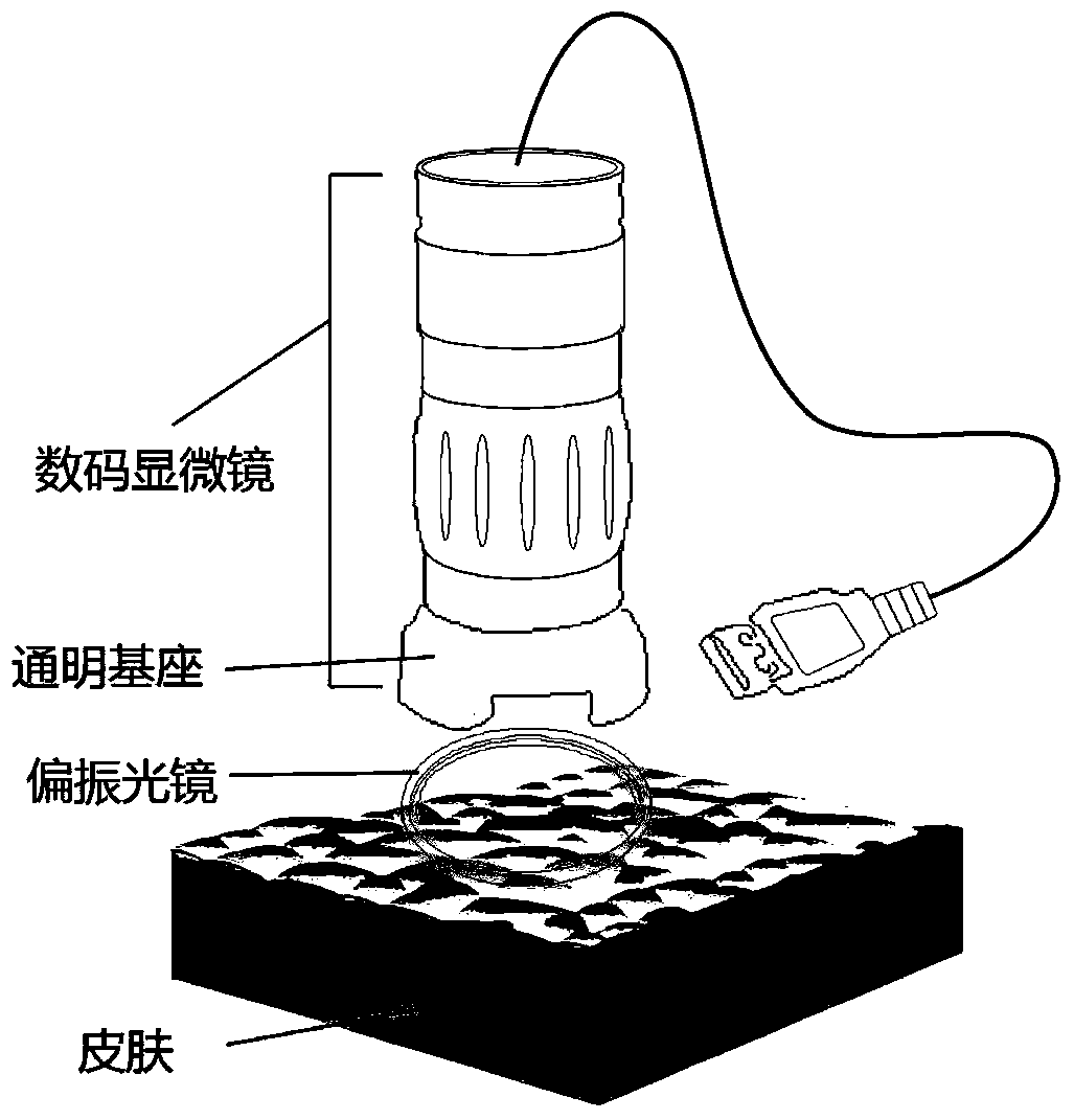 Age testing method based on skin image information processing