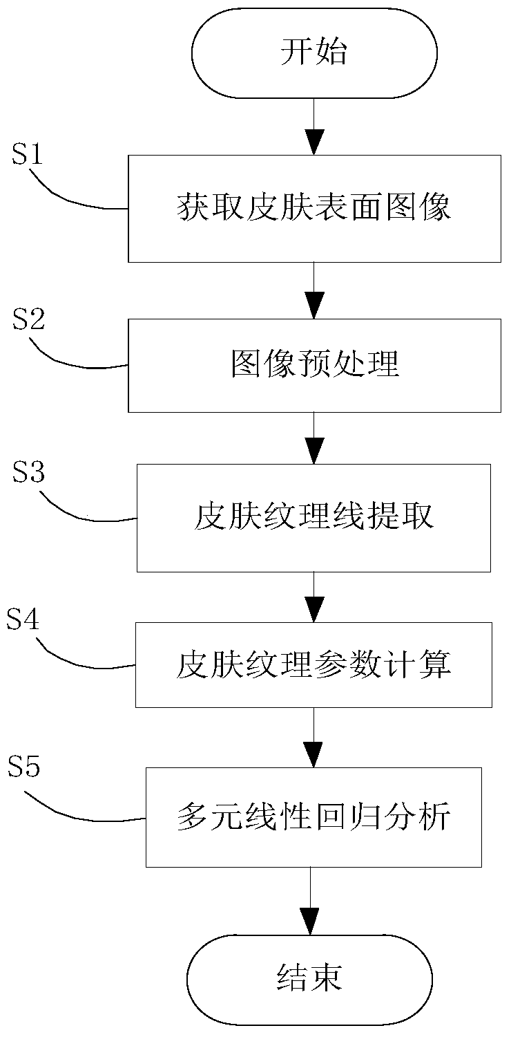 Age testing method based on skin image information processing