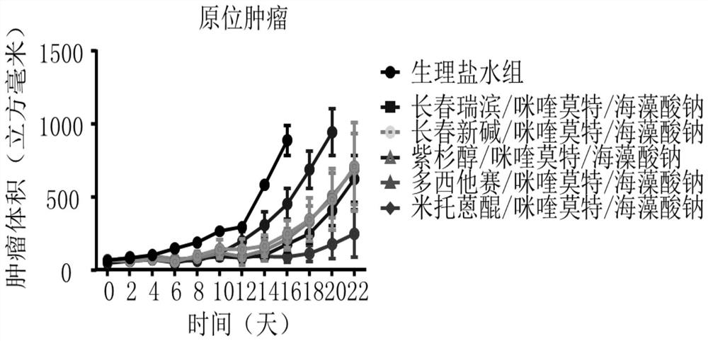 Mitoxantrone composition and preparation method thereof