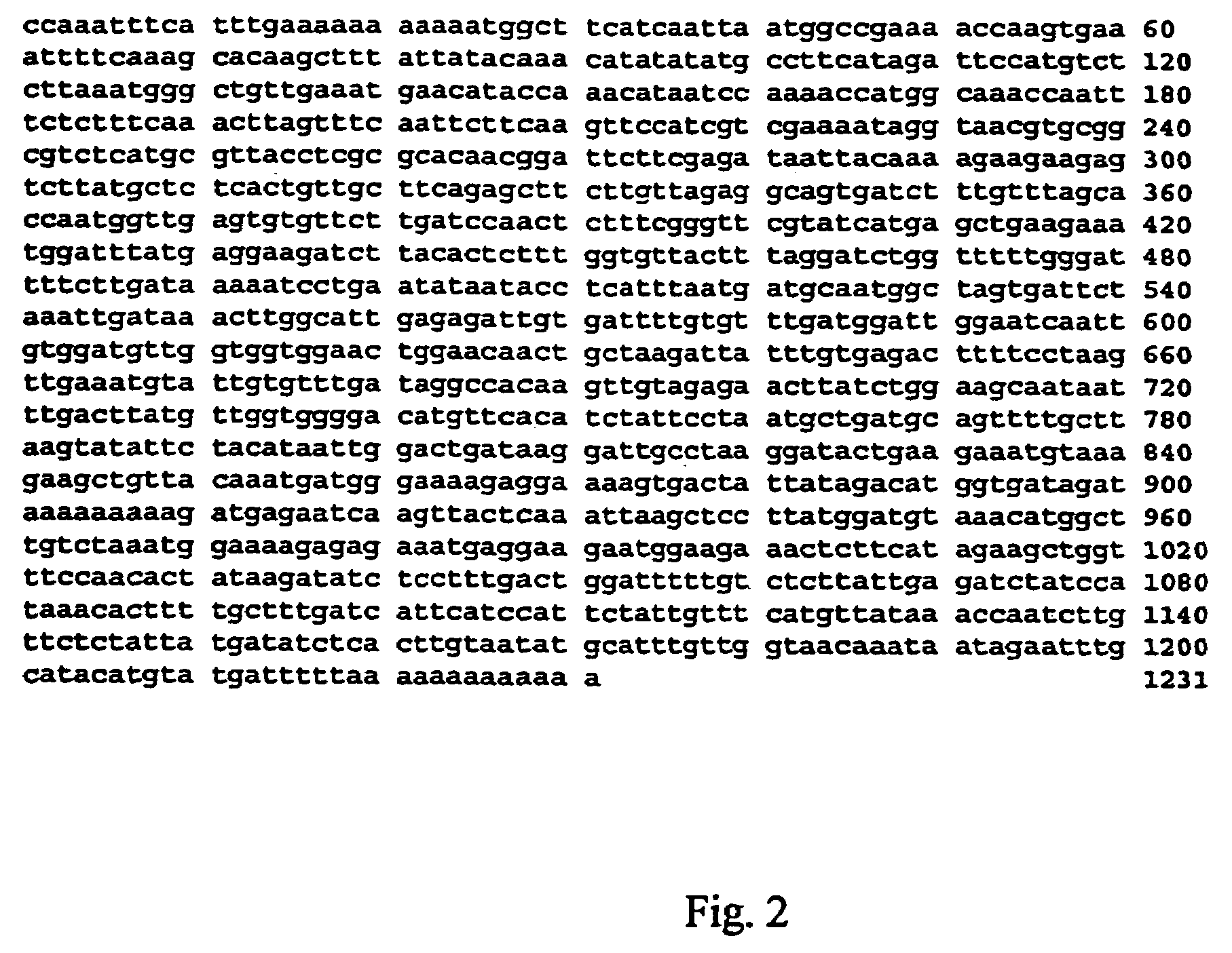 Isoflavonoid methylation enzyme