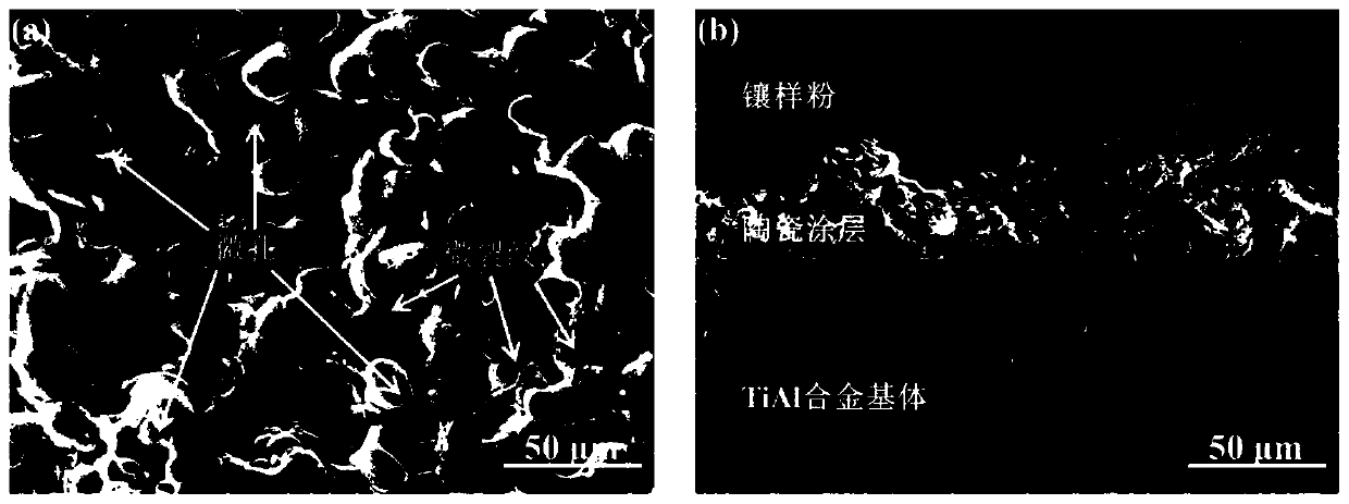 Laser remelting method for plasma cathode electrolytic deposition ceramic coating surface