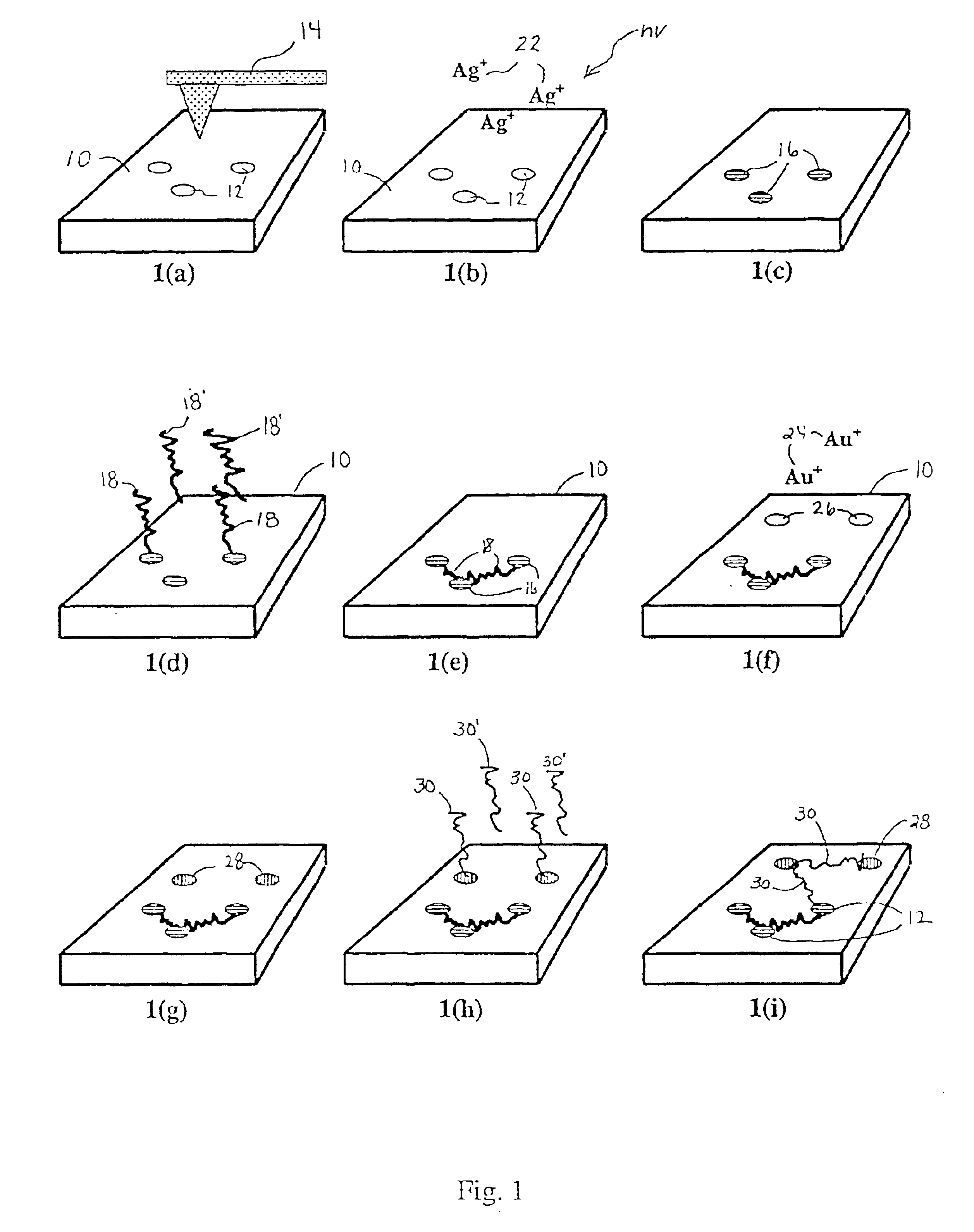 Directed assembly of nanometer-scale molecular devices