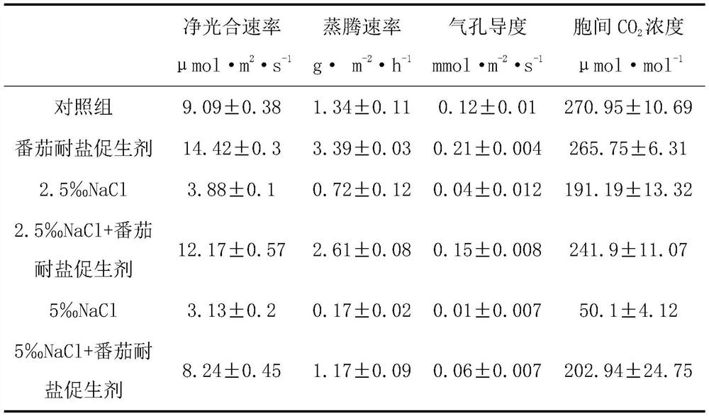 A kind of salt-tolerant growth-promoting bacterial strain b9 and its application