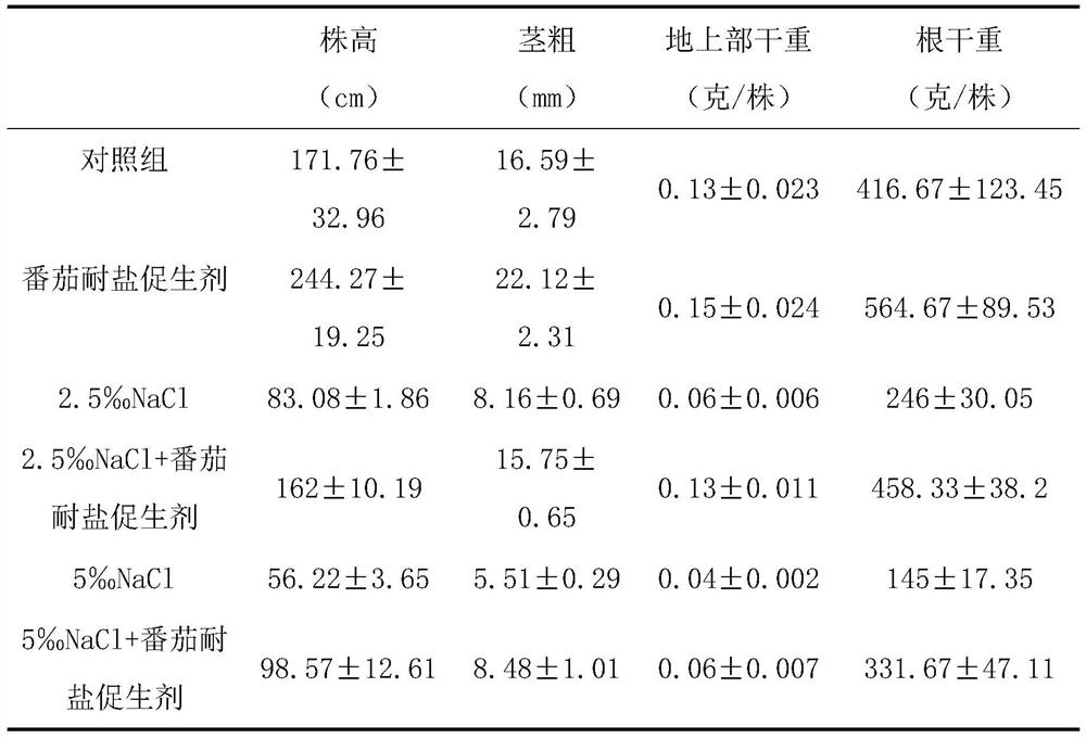 A kind of salt-tolerant growth-promoting bacterial strain b9 and its application