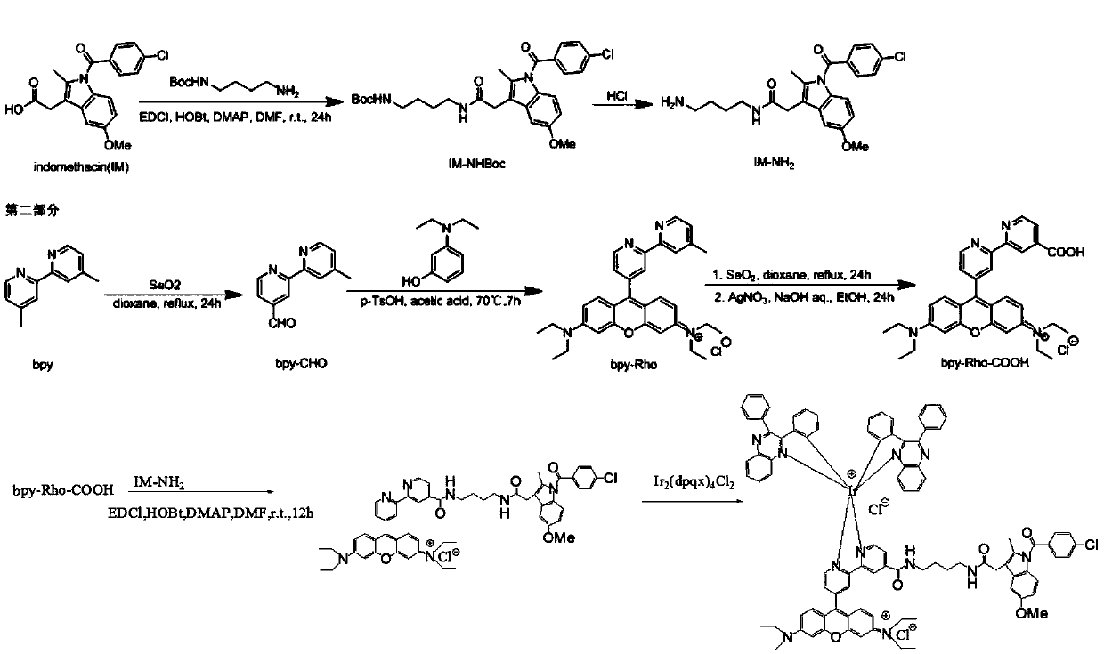 Cyclooxygenase targeted near infrared dye metal complex photosensitizer and preparation and application thereof