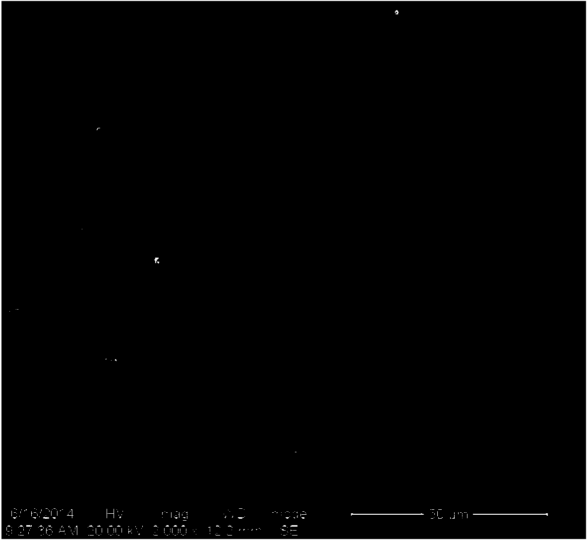 Polyarylenesulfidesulfone hollow fiber and flat plate separating membrane and preparation method thereof