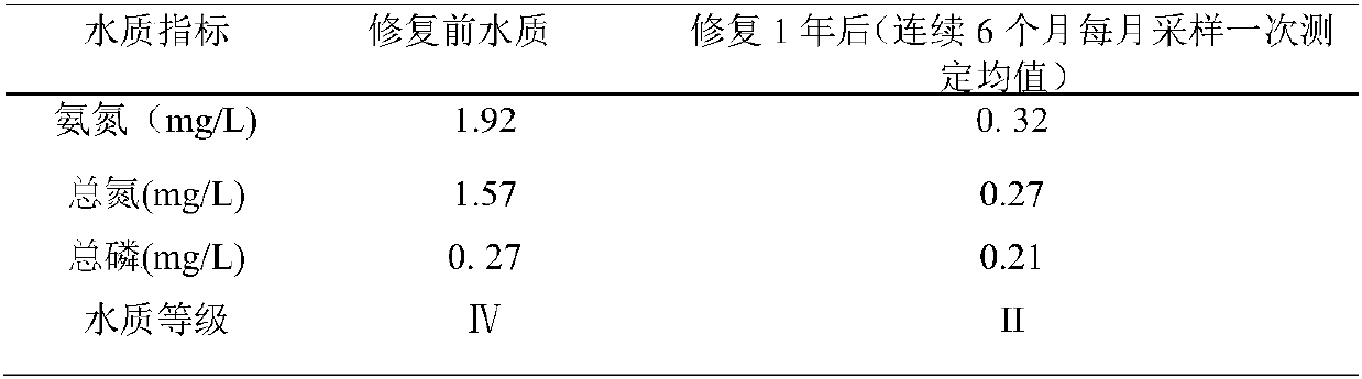 Self-restoration method of river water ecological environment based on benthos-algae-aquatic plants-fish