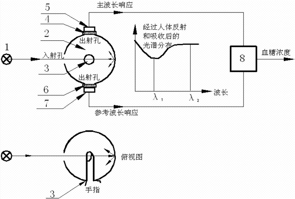 Double-spectrum noninvasive blood glucose detection device