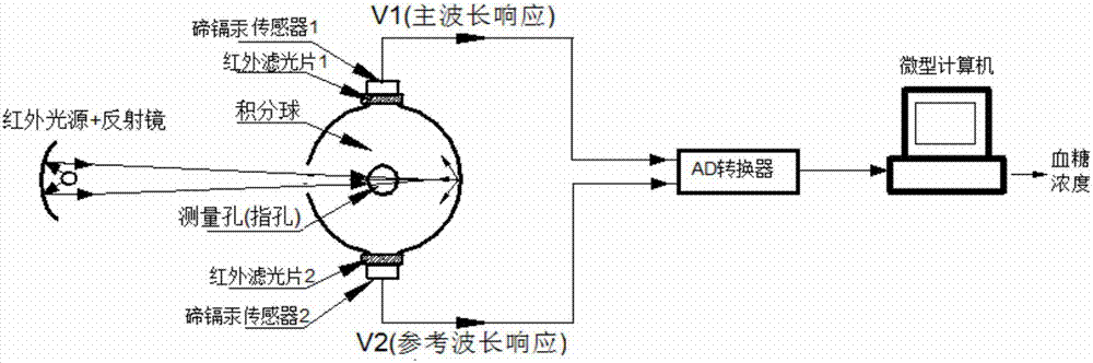 Double-spectrum noninvasive blood glucose detection device