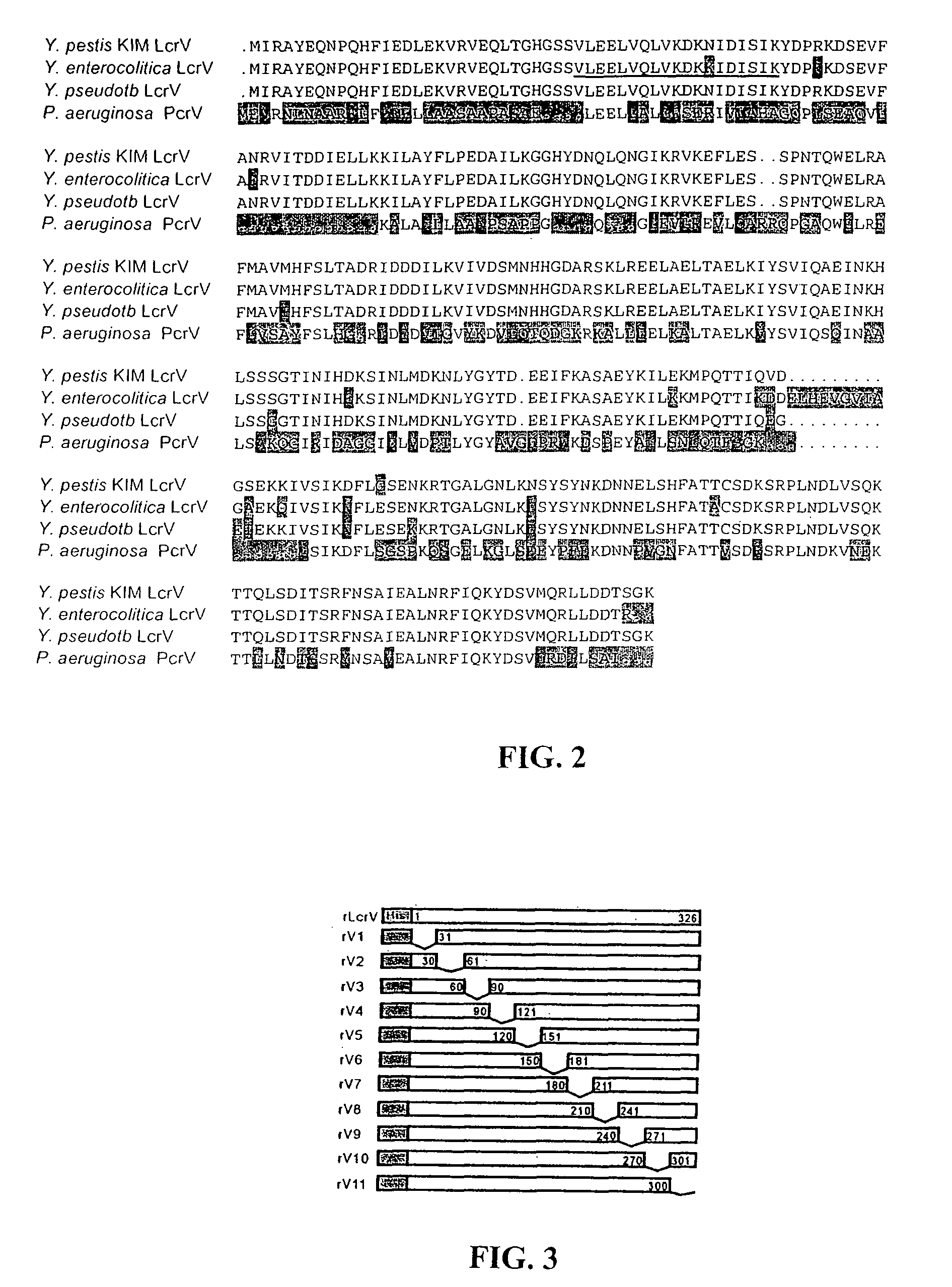 Methods and compositions involving LcrV proteins