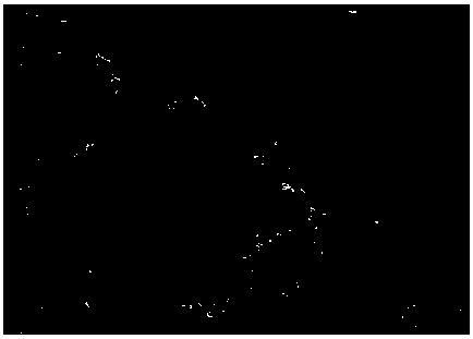 A kind of preparation method of silicon carbon composite material