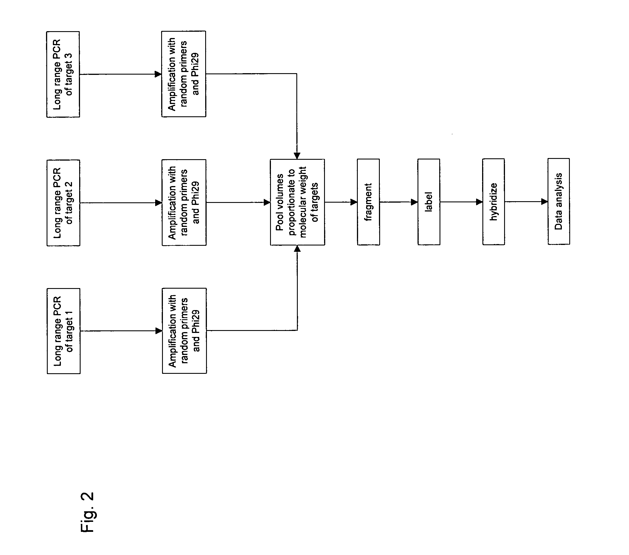 Methods for normalized amplification of nucleic acids