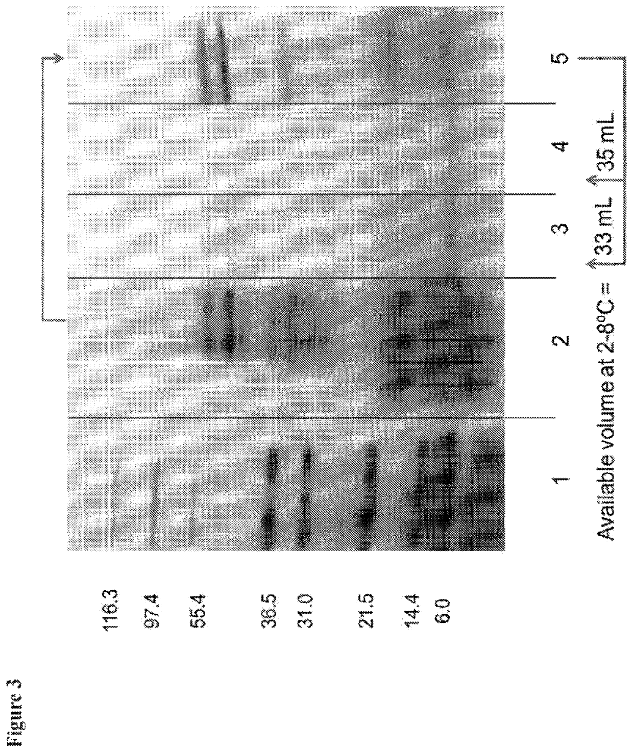 Inactivated vaccine for chikungunya virus