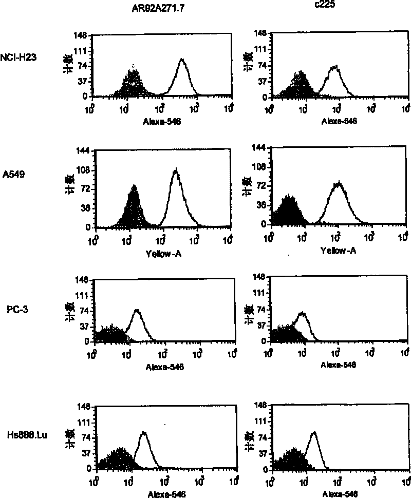 An anti-cancer cytotoxic monoclonal antibody