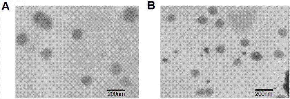 Adjuvant-free single-dose HBsAg nanogel vaccine and preparation method thereof