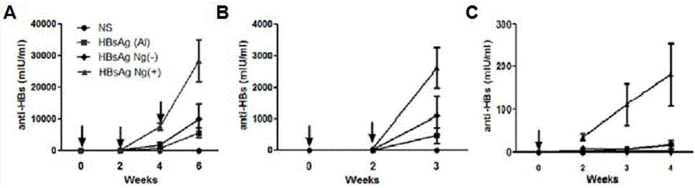 Adjuvant-free single-dose HBsAg nanogel vaccine and preparation method thereof