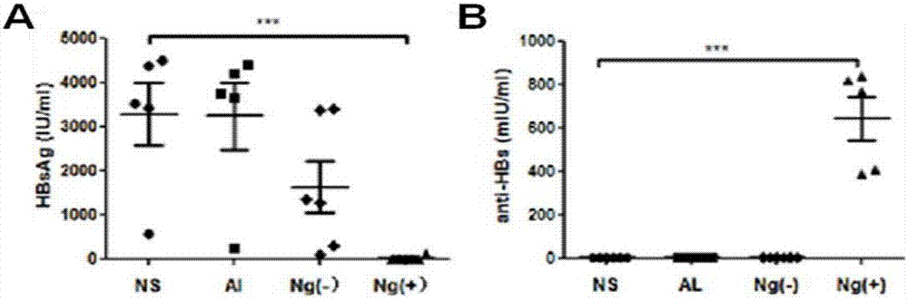 Adjuvant-free single-dose HBsAg nanogel vaccine and preparation method thereof