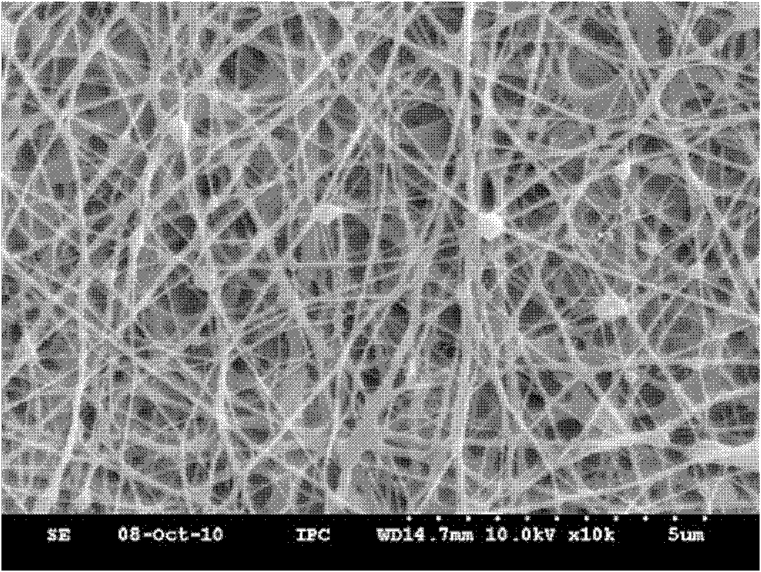 Chitosan nano fibrous membrane adsorbing material and preparation method thereof