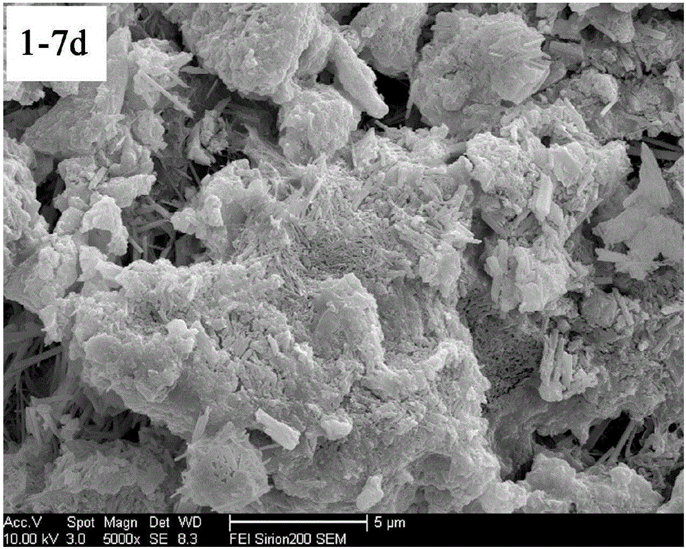 Application of carbide slag solid wastes as raw materials for preparing mineral filling gel material, filling gel material and filling material