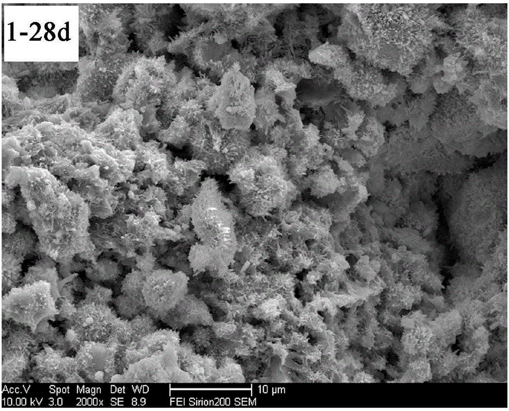 Application of carbide slag solid wastes as raw materials for preparing mineral filling gel material, filling gel material and filling material