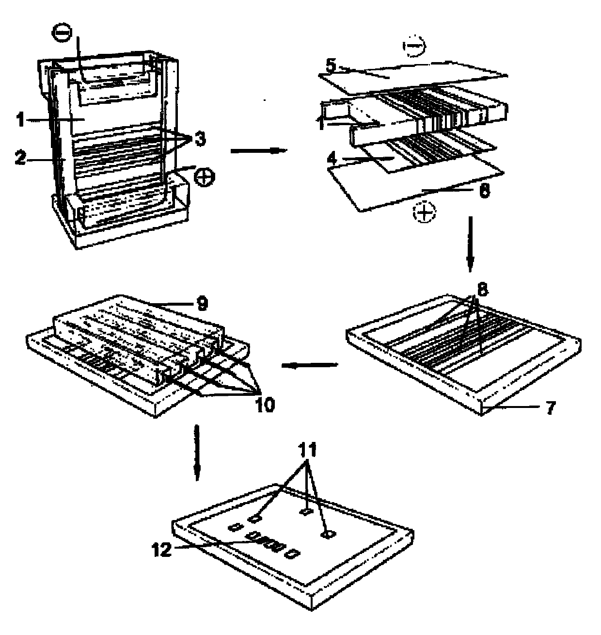 Microfluidic immune imprinting chip and preparation method and application thereof