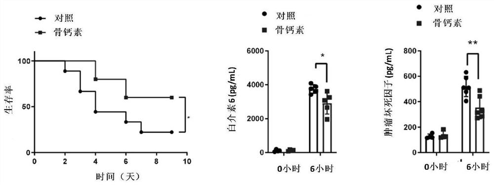 Application of osteocalcin in preparation of anti-inflammatory drugs