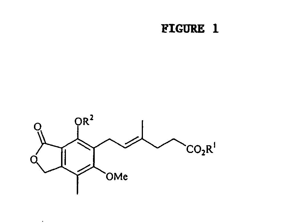 Method of mycophenolate mofetil preparation