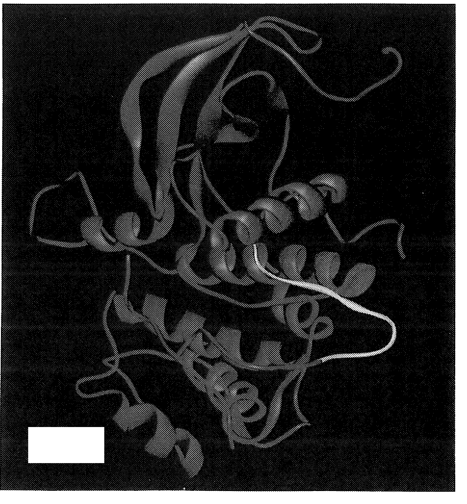 Modulation of protein functionalities