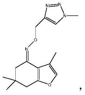 Tetrahydrobenzofuran-4-ketoximetriazole medicine, and preparation method and application thereof