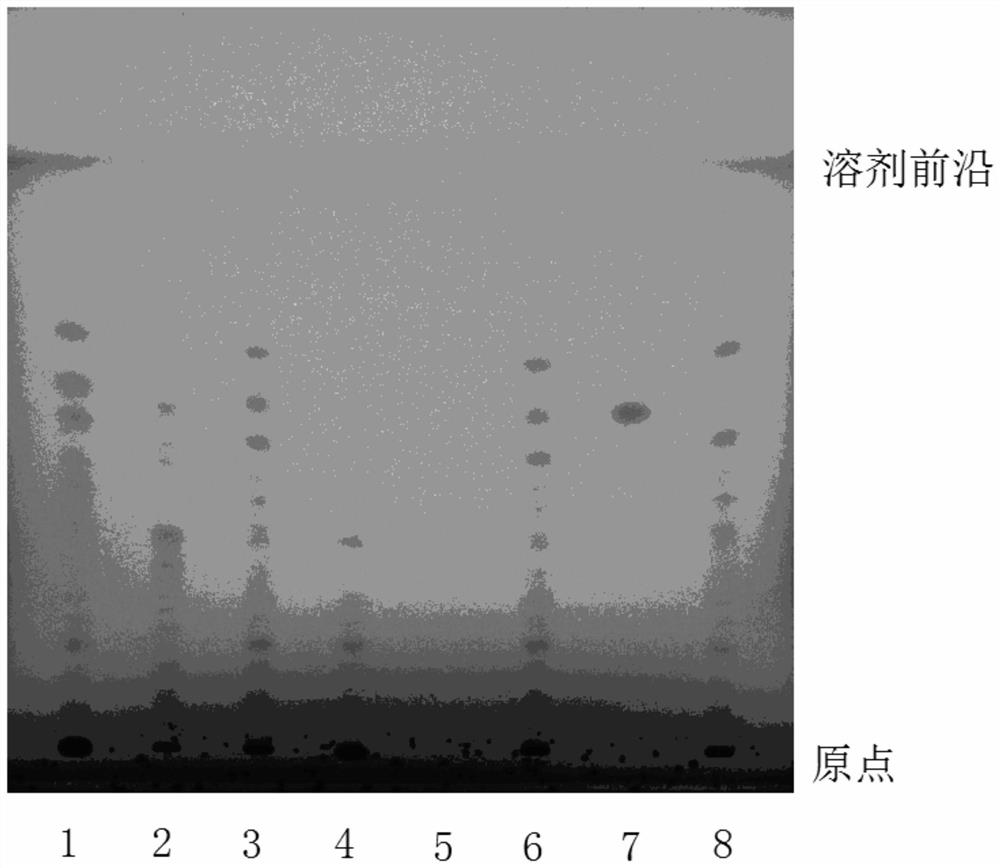 Rapid thin-layer identification method for lyophilized powder of Linggui Zhugan decoction