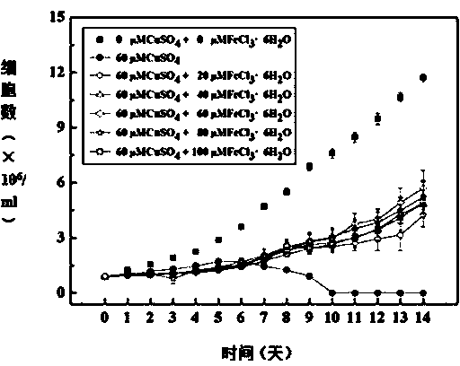 Application of Fe in relief of Cu toxicity to phaeodactylum tricornutum cells