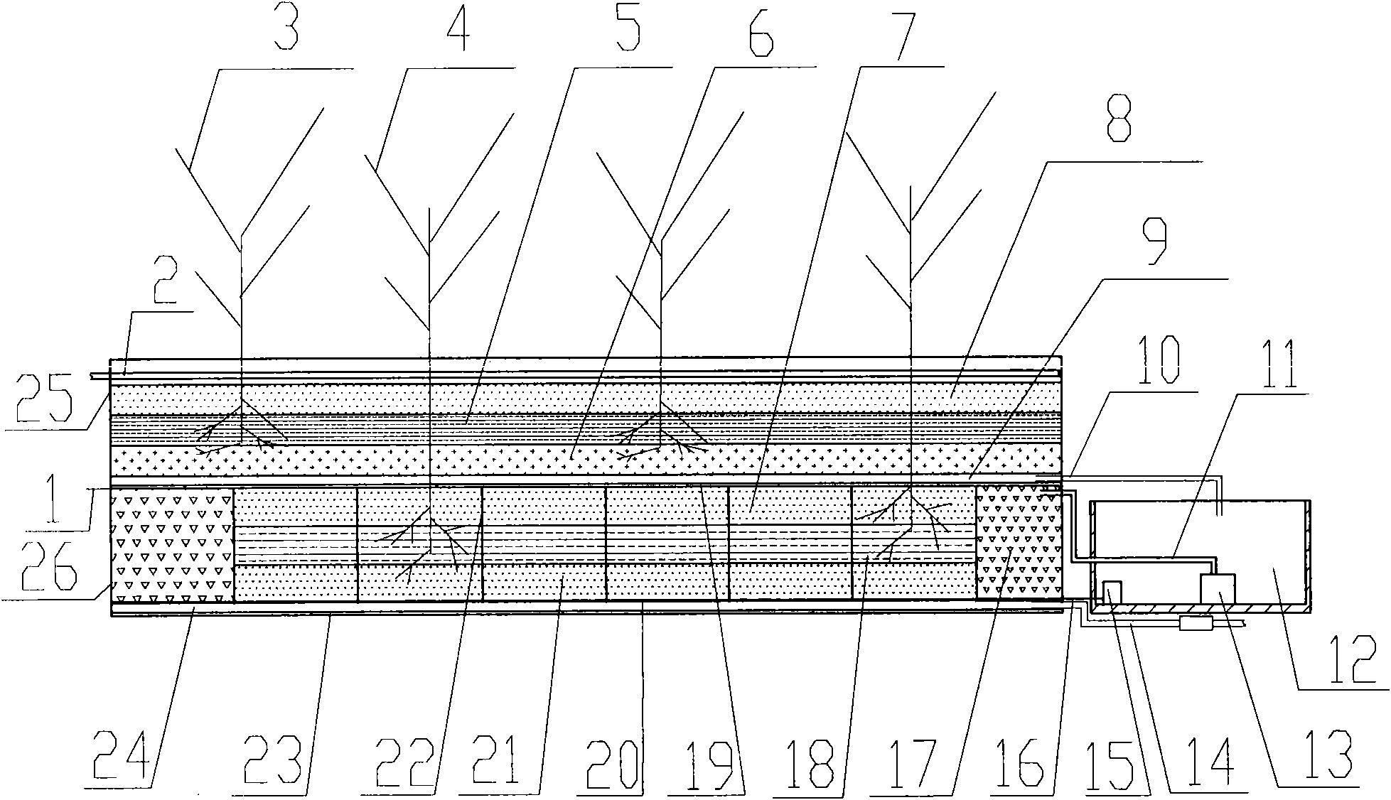 Method for plant arrangement of vertical flow and horizontal subsurface flow combined artificial wetland