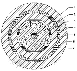 Full-dry nonmetal self-supporting skeleton-type optical cable