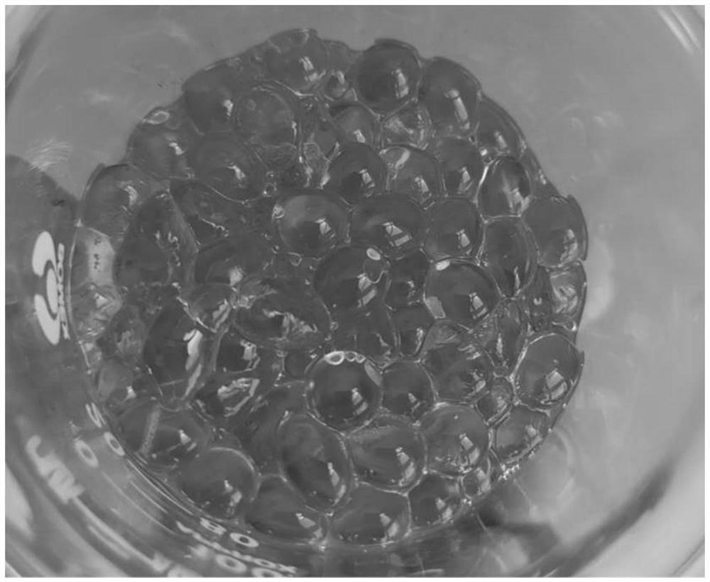 Antiviral hydrogel bead