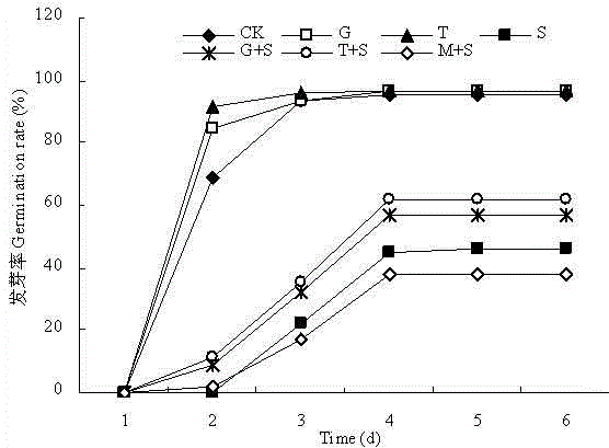 Method for corn seed germination under exogenous sugar seed soaking salt stress alleviation