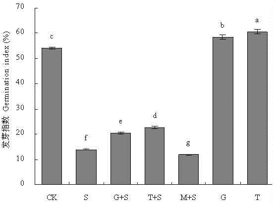 Method for corn seed germination under exogenous sugar seed soaking salt stress alleviation