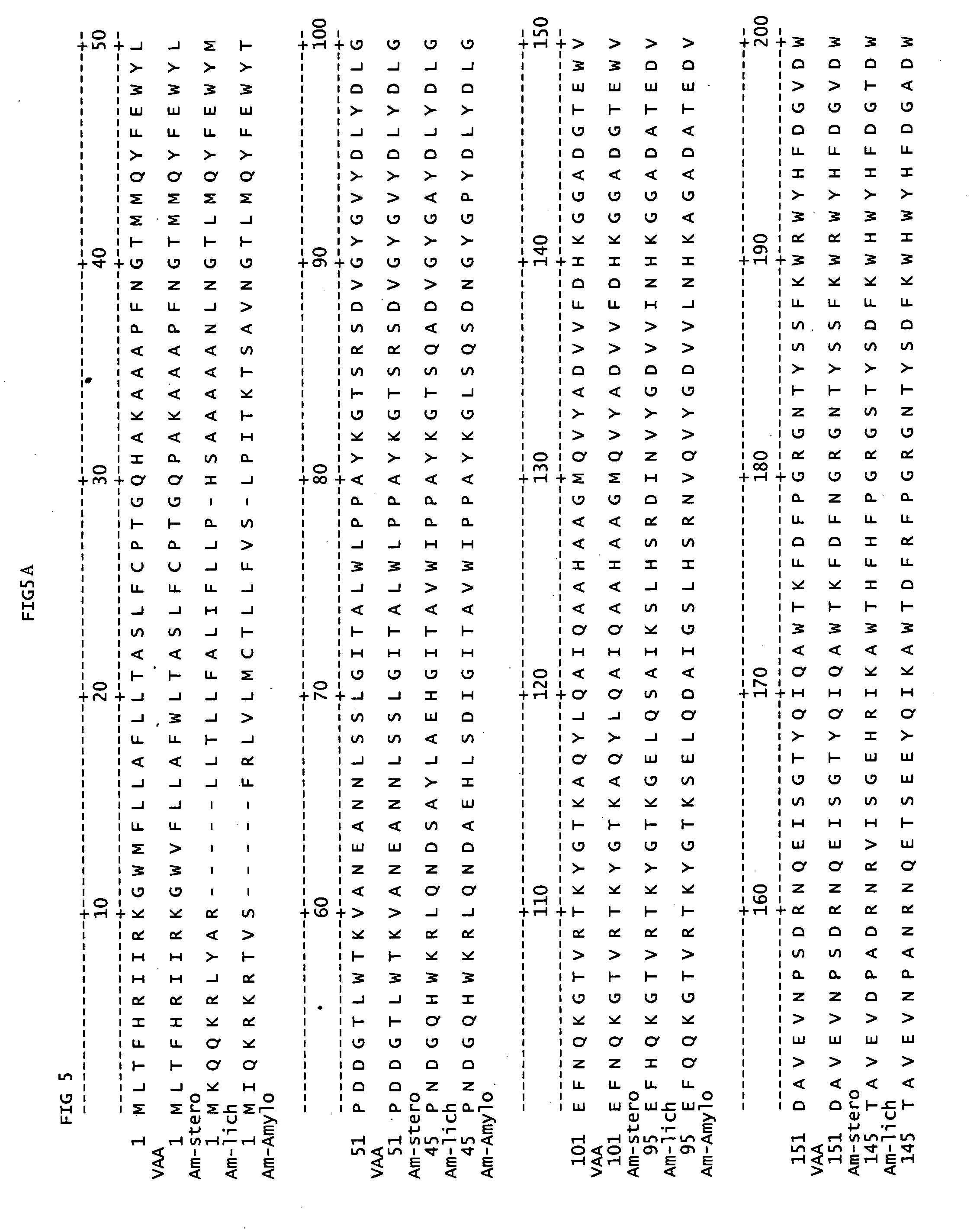 Mutant alpha-amylases