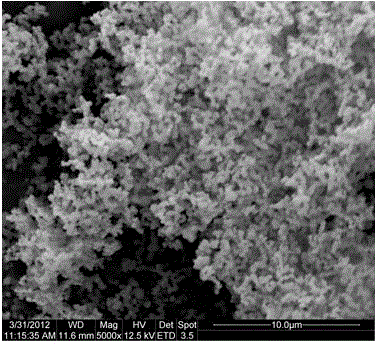 Preparation method and application of kaempferol imprinted microsphere based on nanometer titanium dioxide