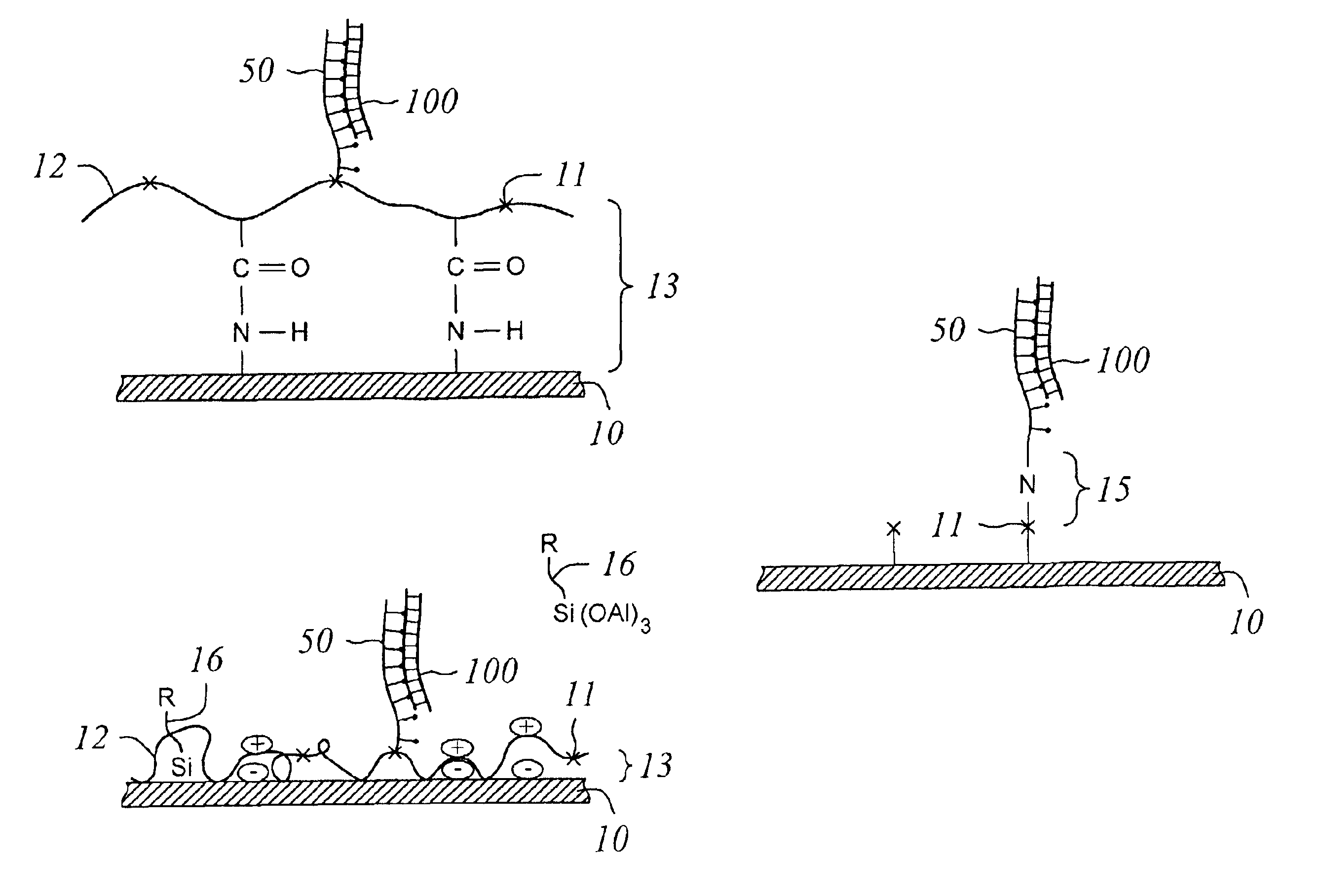 Surface with tethered polymeric species for binding biomolecules