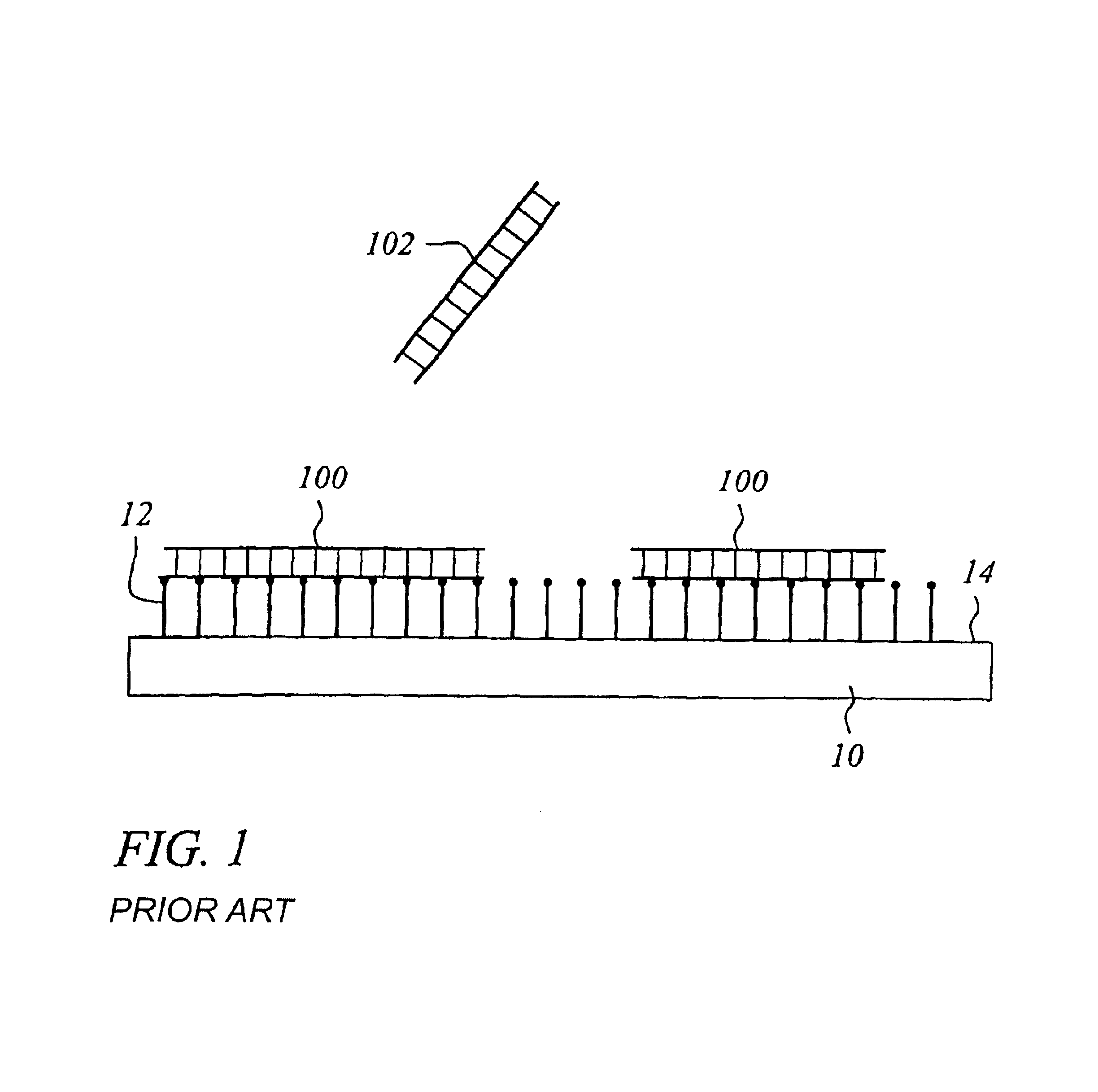 Surface with tethered polymeric species for binding biomolecules