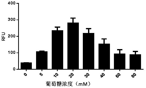 In-vitro cell-free protein synthesis system and application thereof