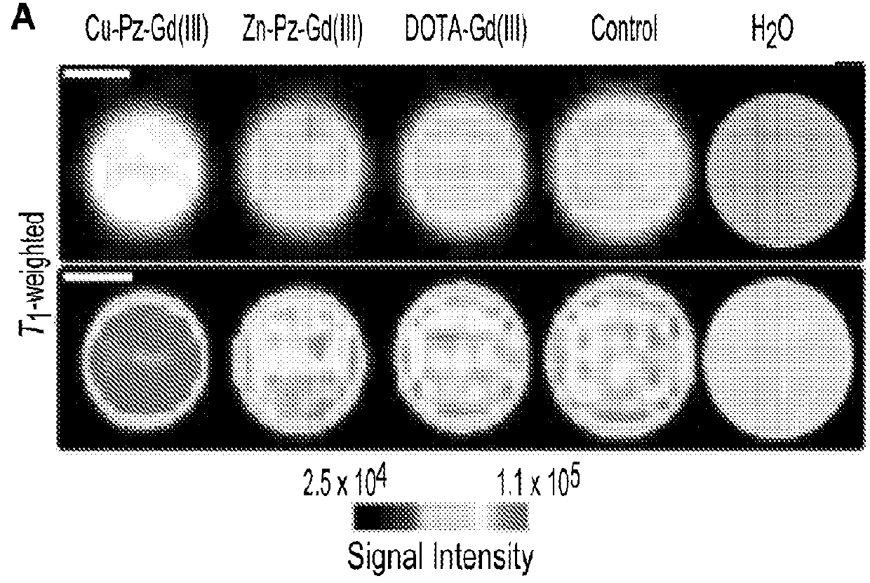 Porphyrazine optical and dual optical/ mr contrast and therapeutic agents