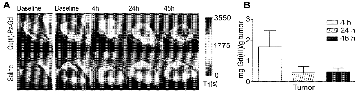 Porphyrazine optical and dual optical/ mr contrast and therapeutic agents